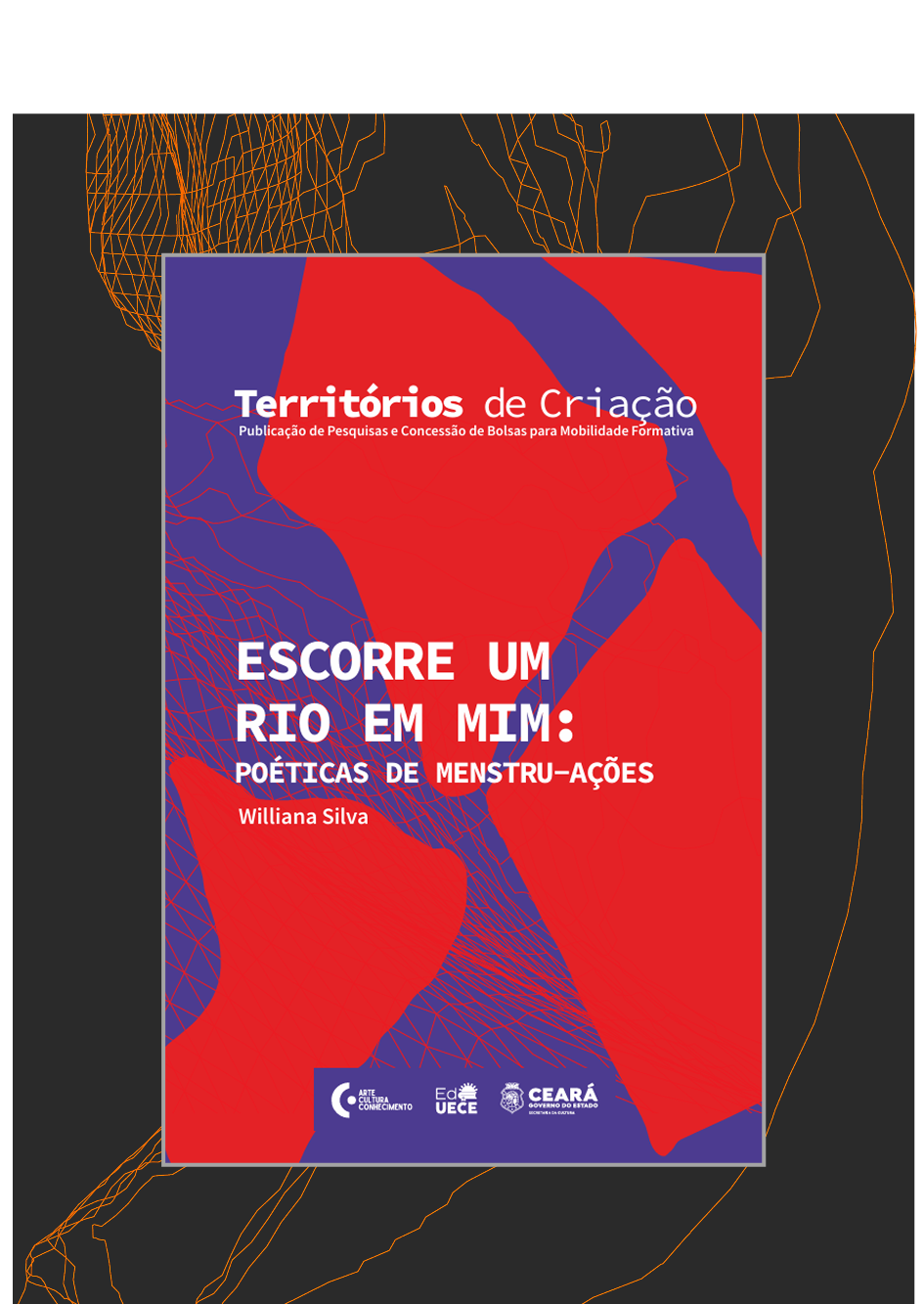 Capa Livro 19